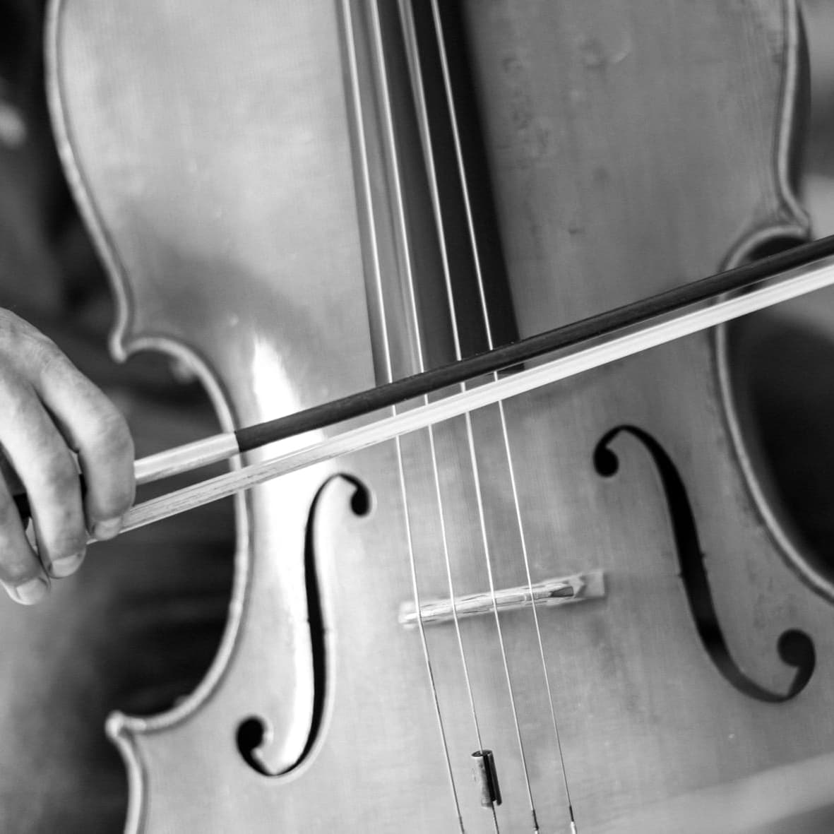 Gros plan sur un violoncelle et son archet, Ensemble Dionysos